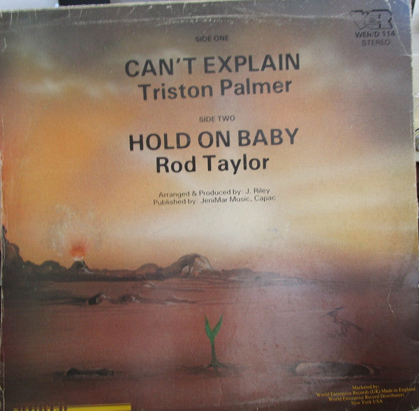 Tristan Palmer / Rod Taylor : Can't Explain (12")