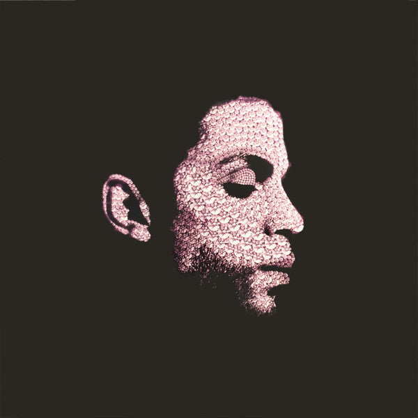 Various : The Many Faces Of Prince (A Journey Through The Inner World Of Prince) (2x12", Comp, Pur)