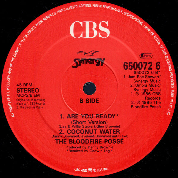 Bloodfire Possé : Are You Ready (12")
