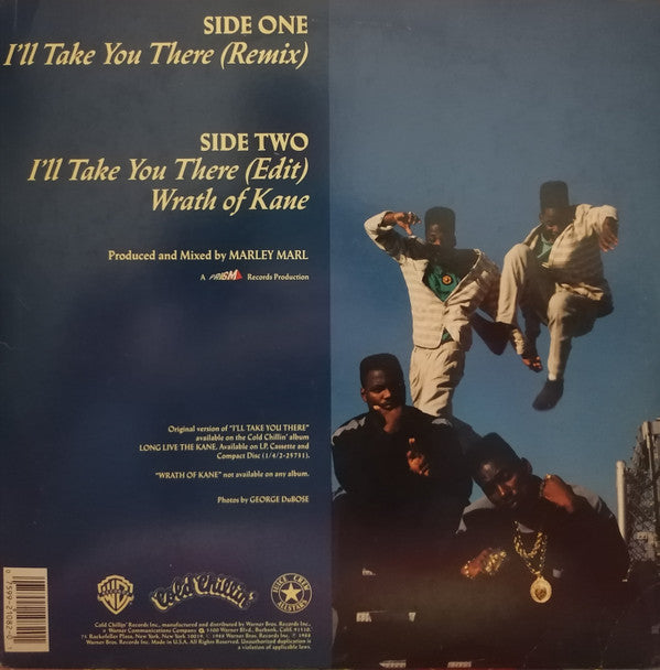 Big Daddy Kane : I'll Take You There (12", Maxi, Pic)