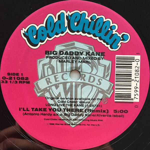 Big Daddy Kane : I'll Take You There (12", Maxi, Pic)