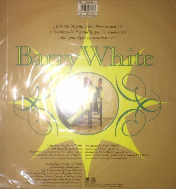Barry White : Put Me In Your Mix (12")