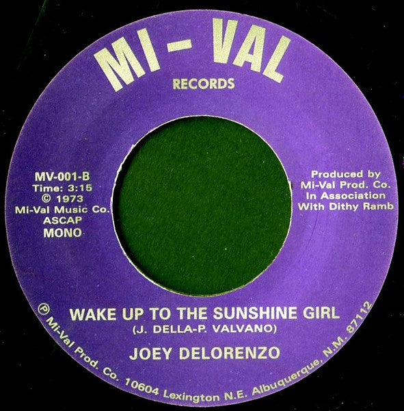 Joey Delorenzo : Lost My Sense Of Direction (7", MP, RE, Unofficial)