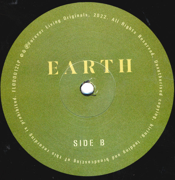 Sault : Earth (LP, Album)