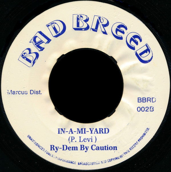 Papa Levi : Mi God Mi King / In-A-Mi-Yard (7")