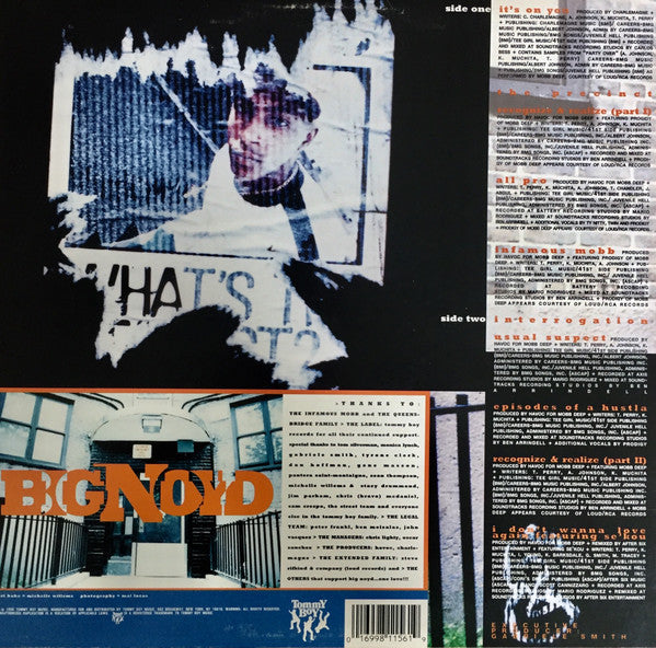 Big Noyd : Episodes Of A Hustla (LP, Album)