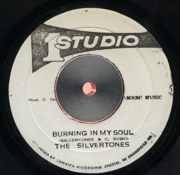 The Silvertones : Burning In My Soul (7")