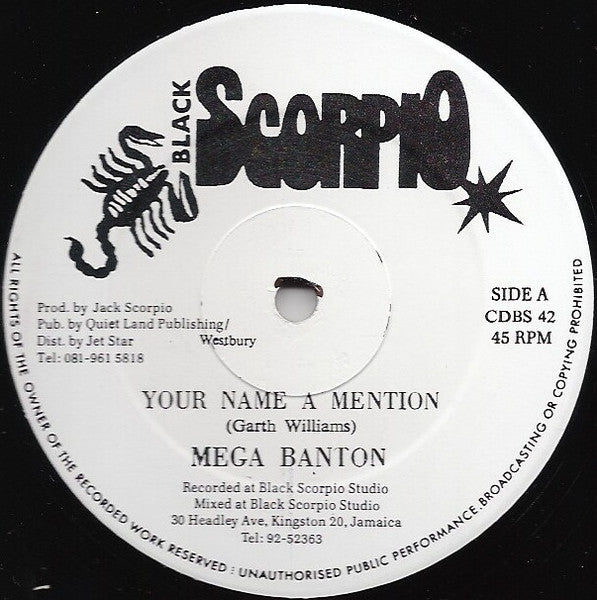 Mega Banton / Terry Ganzie & Mikey Sing : Your Name A Mention / Down Inna Yard (12")