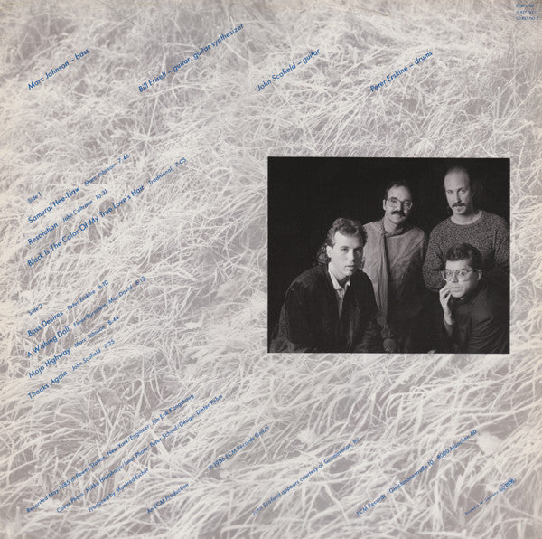 Marc Johnson (2) : Bass Desires (LP, Album)