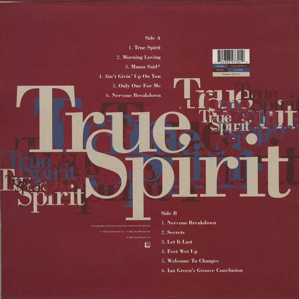 Carleen Anderson : True Spirit (LP, Album)