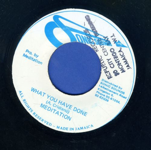 The Meditations : What You Have Done (7")