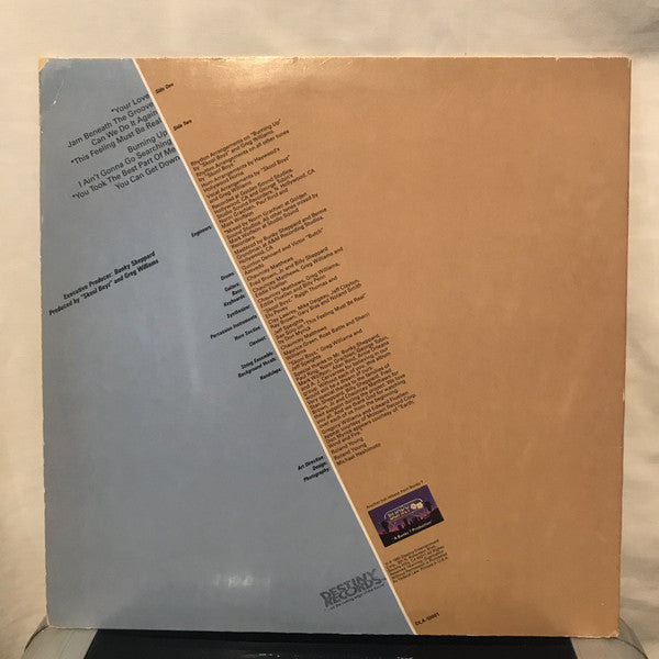 Skool Boyz : Skool Boyz (LP, Album)