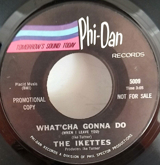The Ikettes : What'cha Gonna Do (When I Leave You) (7", Single, Promo)