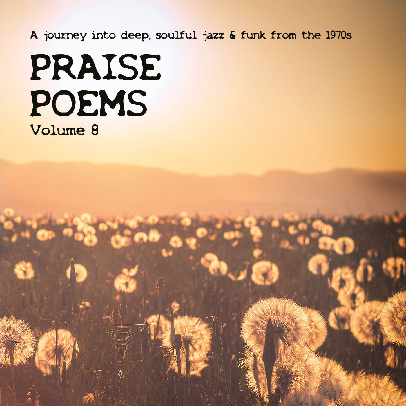 Various Artists - Praise Poems, Vol. 8 (CD)
