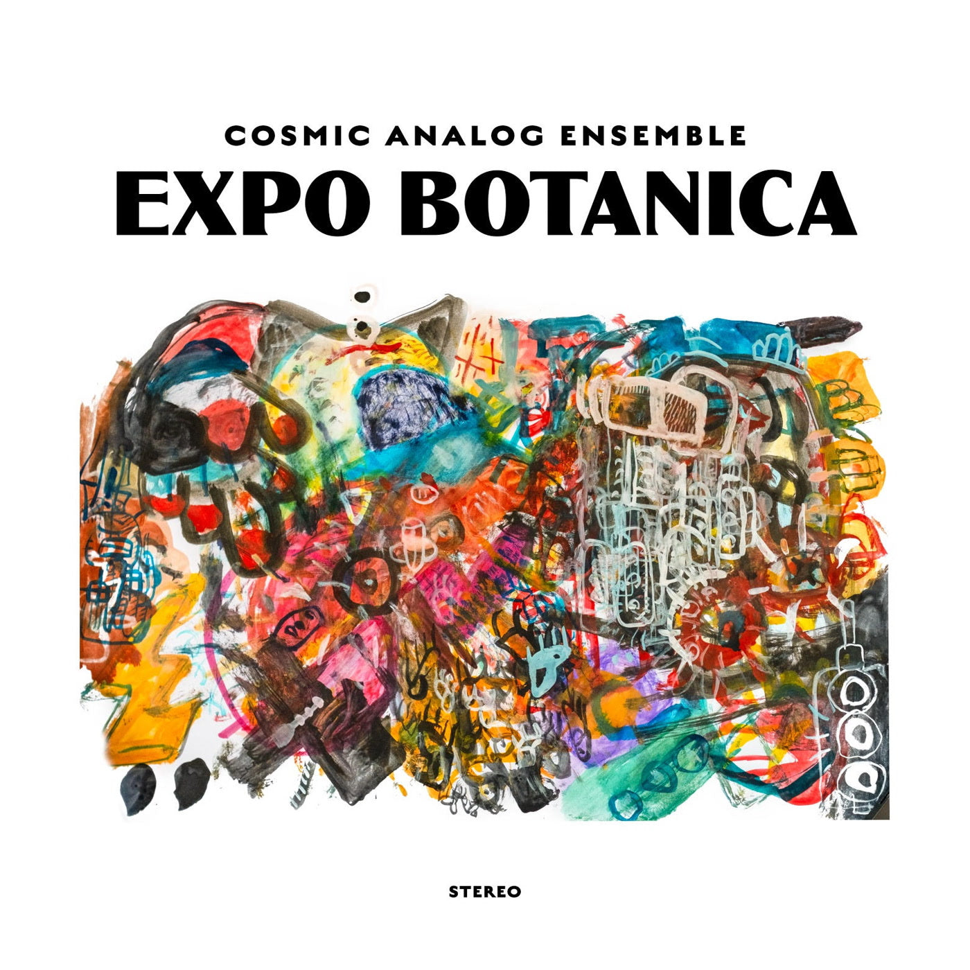 Cosmic Analog Ensemble - Expo Botanica (LP)