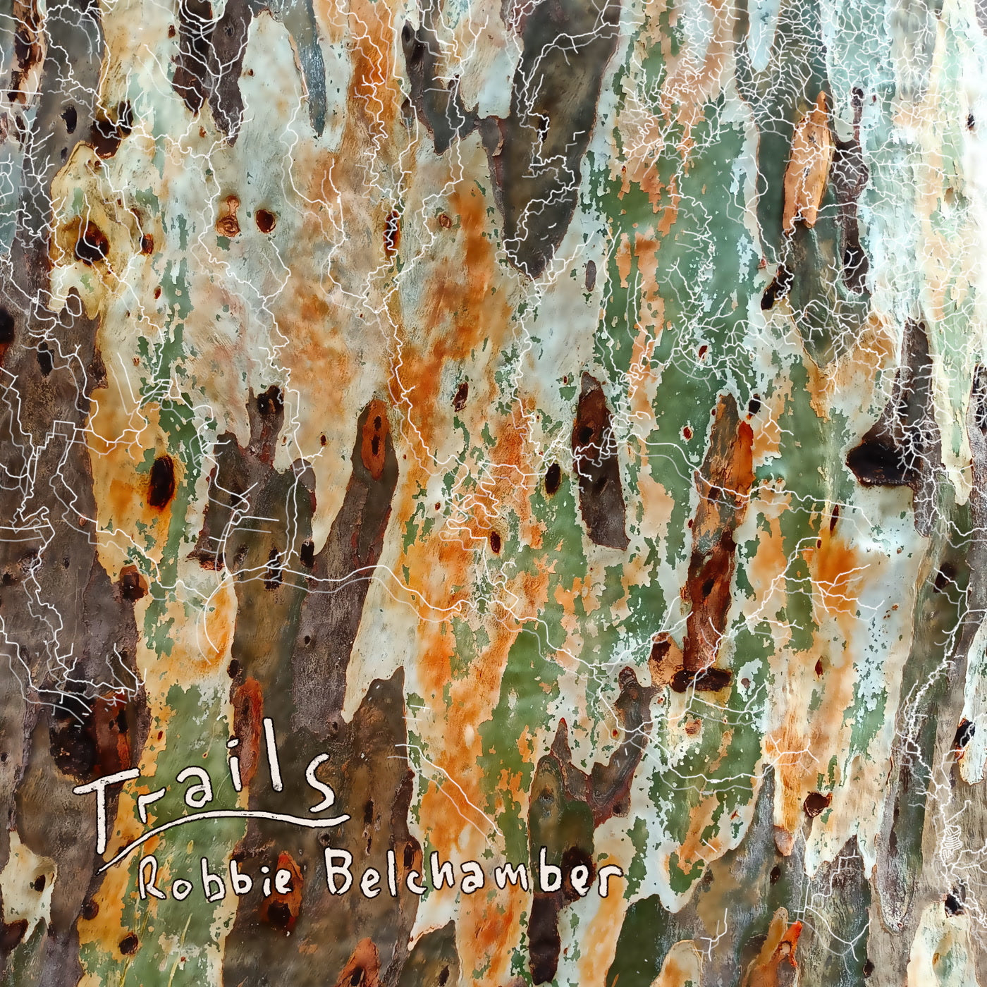 Robbie Belchamber - Trails (LP)