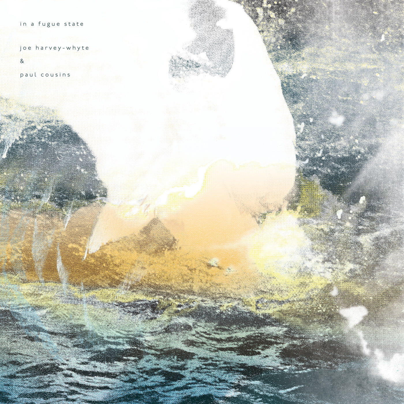 Joe Harvey-Whyte & Paul Cousins - in a fugue state (LP)