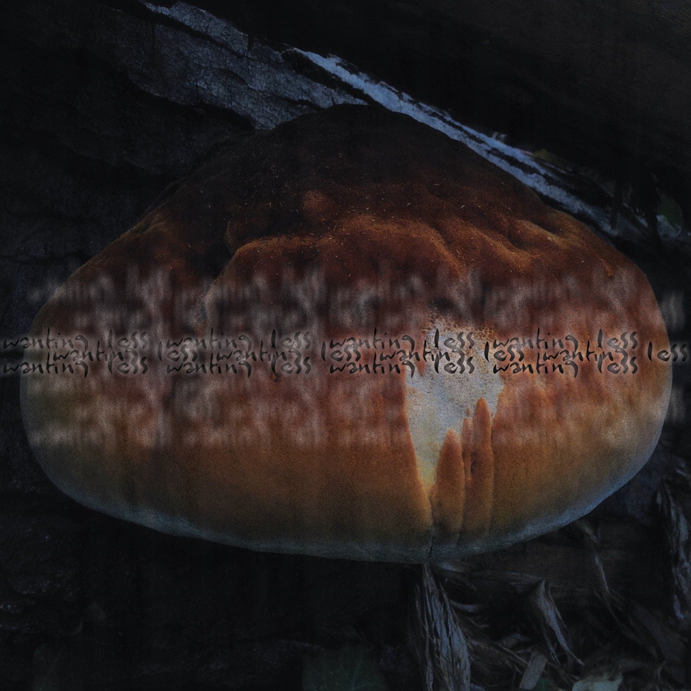 mu tate - wanting less (LP)