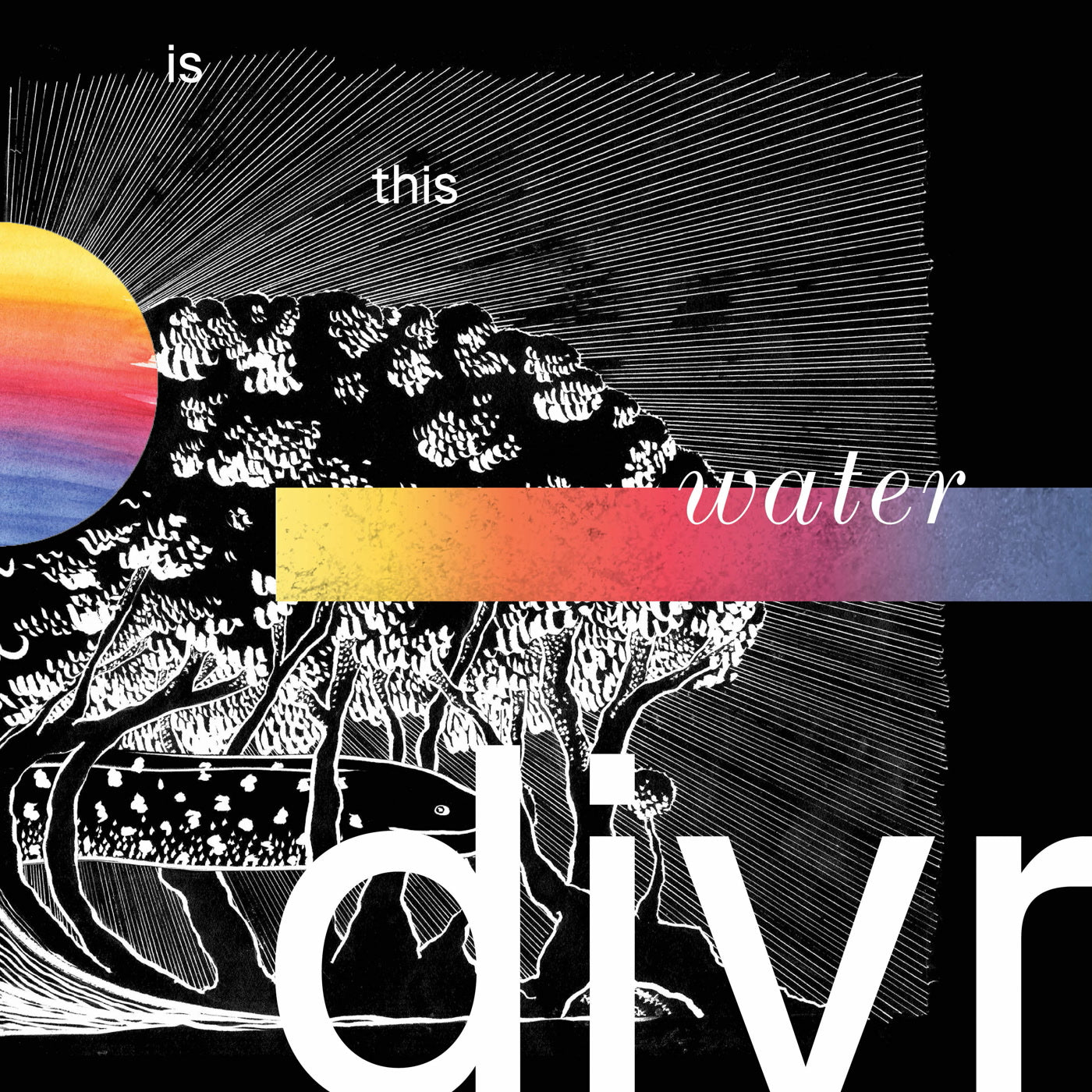 divr - Is This Water (LP)