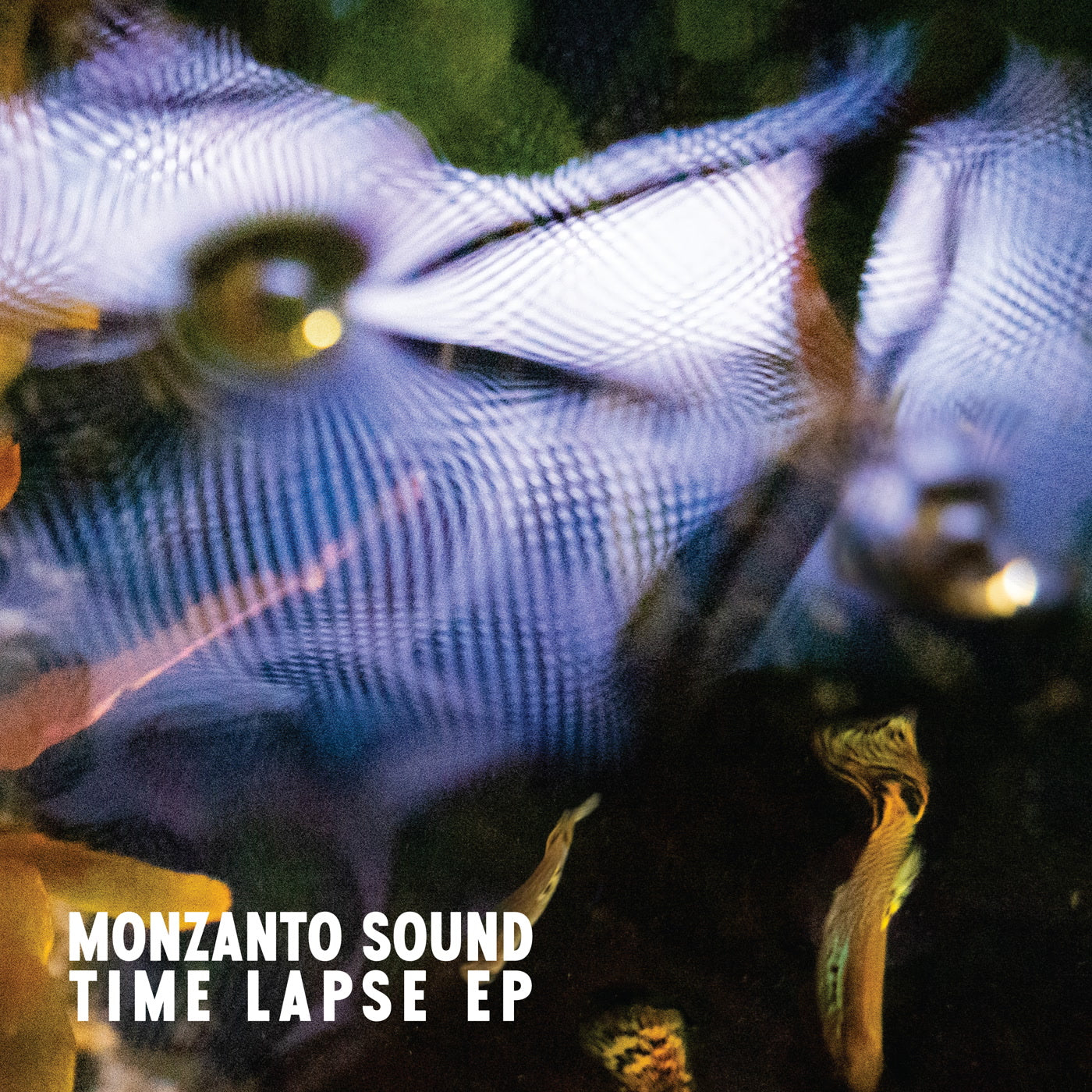 Monzanto Sound - Time Lapse EP (12")