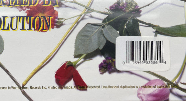Prince And The Revolution : When Doves Cry (12", Maxi, RE)