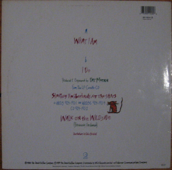 Edie Brickell & New Bohemians : What I Am (12")