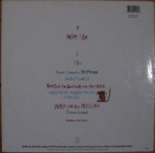 Edie Brickell & New Bohemians : What I Am (12")