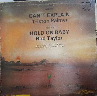 Tristan Palmer / Rod Taylor : Can't Explain (12")