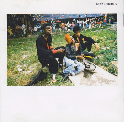 The Family Stand : Chain (CD, Album)