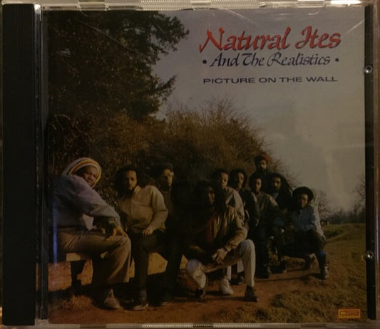 Natural Ites & The Realistics : Picture On The Wall (CD, Album)