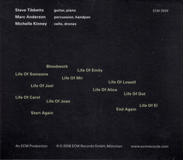 Steve Tibbetts : Life Of (CD, Album)