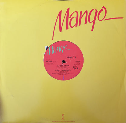 Home T & Yellowman : Mr. Consular (12")