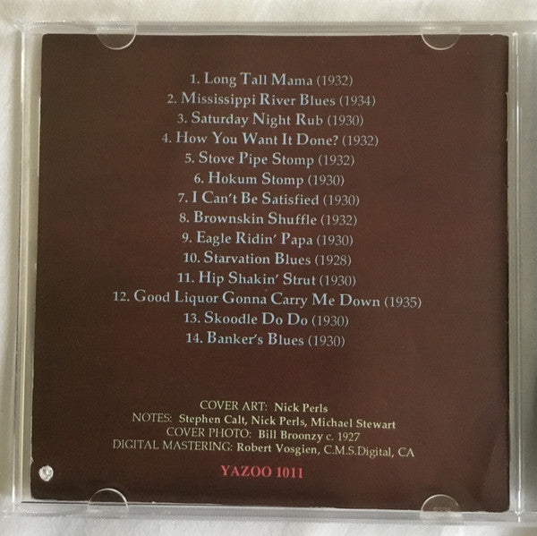 Big Bill Broonzy : The Young Big Bill Broonzy 1928-1935 (CD, Comp, RE)