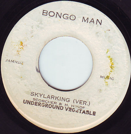 Horace Andy : Skylarking (7")