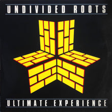 Undivided Roots : Ultimate Experience (LP, Album)