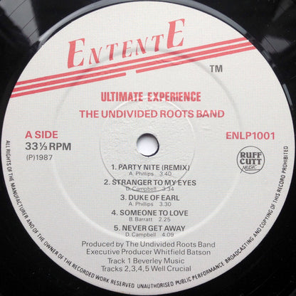 Undivided Roots : Ultimate Experience (LP, Album)