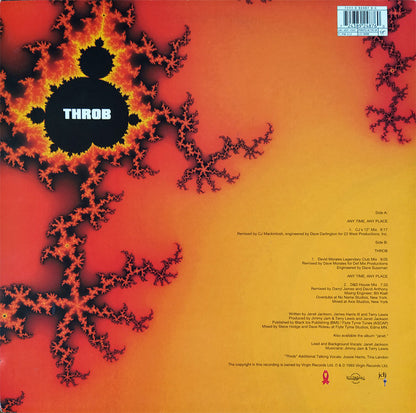 Janet Jackson : Any Time, Any Place (12", Single)