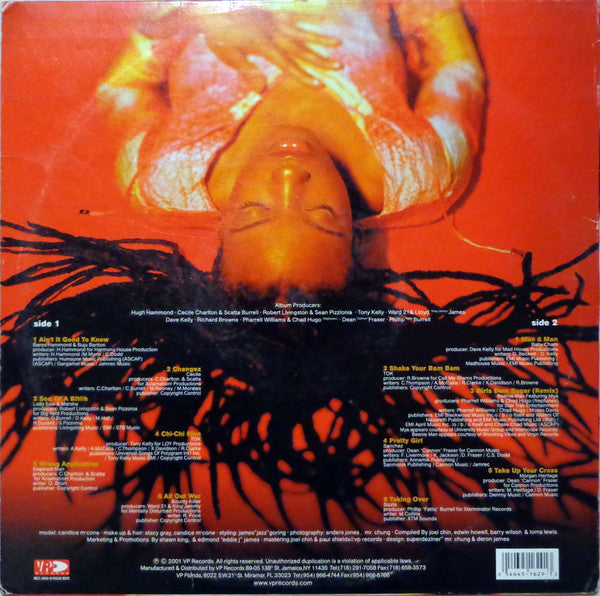 Various : Reggae Gold 2001 (LP, Comp)