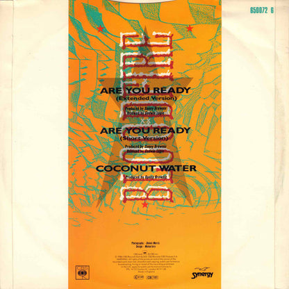 Bloodfire Possé : Are You Ready (12")
