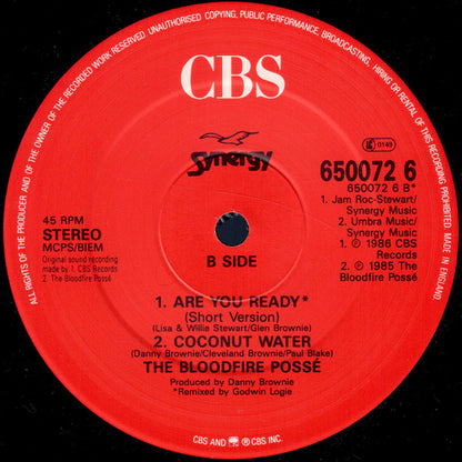 Bloodfire Possé : Are You Ready (12")