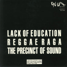Dub Syndicate Featuring Andy Fairley : Lack Of Education (12", Ltd, Promo)