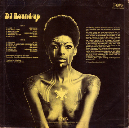 Various : DJ Round-Up (LP, Comp)