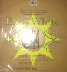 Barry White : Put Me In Your Mix (12")