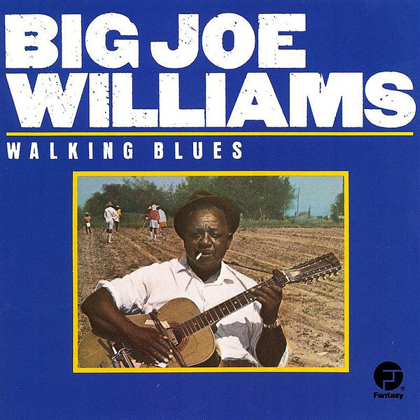 Big Joe Williams : Walking Blues (CD, Comp, RE, RM)