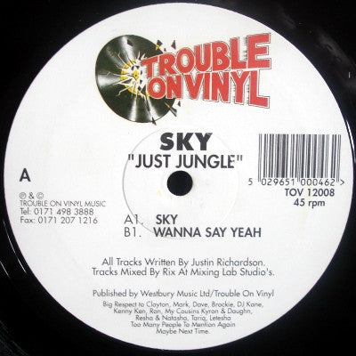 Just Jungle : Sky (12")