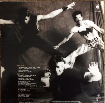 Lisa Lisa & Cult Jam With Full Force : Lisa Lisa & Cult Jam With Full Force (LP, Album)