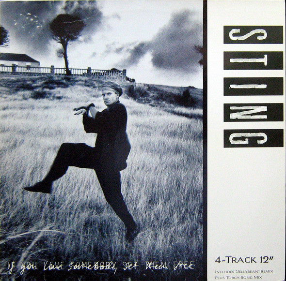 Sting : If You Love Somebody Set Them Free (12", Maxi)