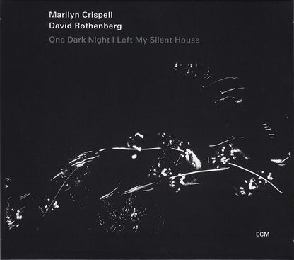 Marilyn Crispell / David Rothenberg : One Dark Night I Left My Silent House (CD, Album)