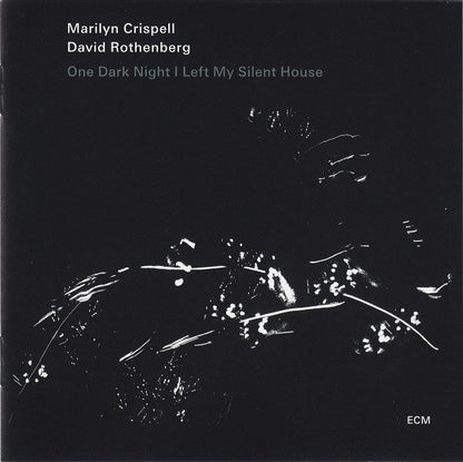 Marilyn Crispell / David Rothenberg : One Dark Night I Left My Silent House (CD, Album)