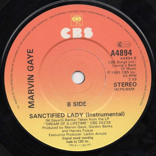 Marvin Gaye : Sanctified Lady (7", Single)